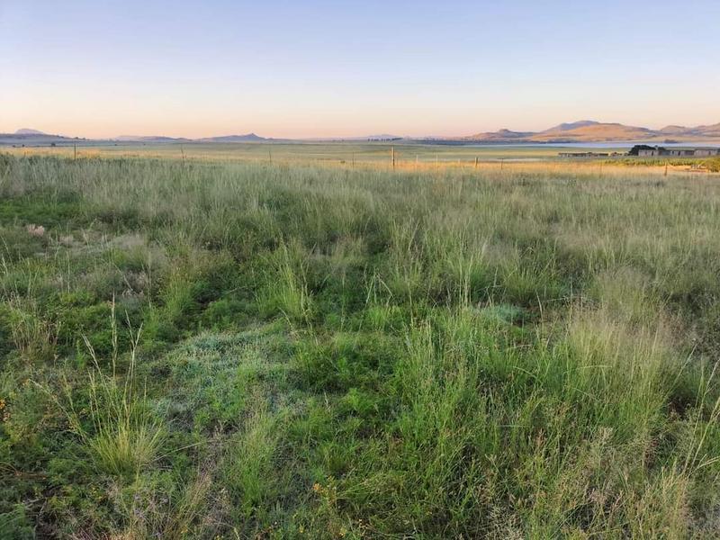 0 Bedroom Property for Sale in Ladybrand Free State